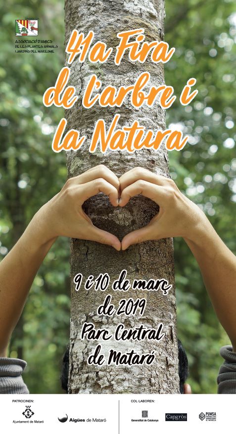 Cartell de la fira de l'arbre 2019