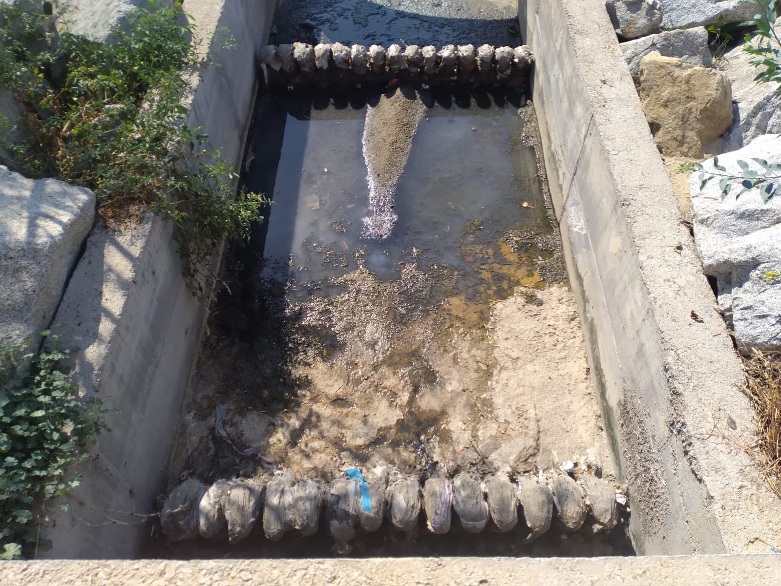 Imatge del sobreeixidor de la platja de Pequin amb tovalloletes i brossa atrapada a la pinta.